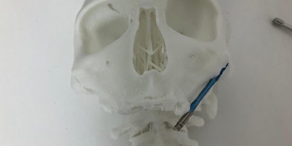 WhatsApp Image 2025-10-07 at 12.57.39